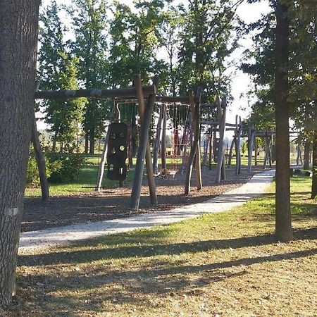 Apartma Mbm Lägenhet Križevci pri Ljutomeru Exteriör bild