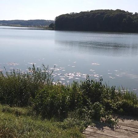 Apartma Mbm Lägenhet Križevci pri Ljutomeru Exteriör bild
