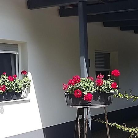 Apartma Mbm Lägenhet Križevci pri Ljutomeru Exteriör bild