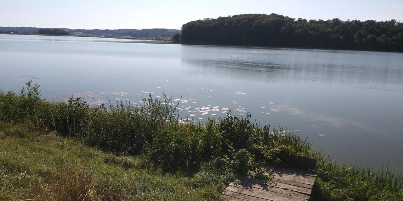 Apartma Mbm Lägenhet Križevci pri Ljutomeru Exteriör bild
