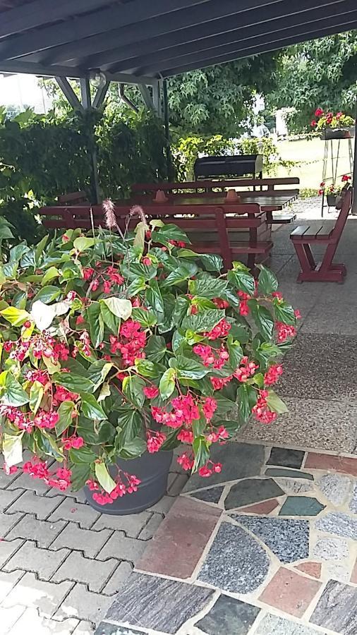 Apartma Mbm Lägenhet Križevci pri Ljutomeru Exteriör bild