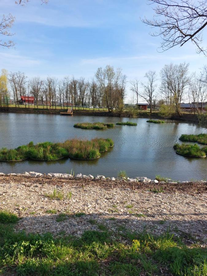 Apartma Mbm Lägenhet Križevci pri Ljutomeru Exteriör bild